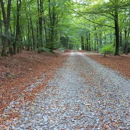 Cozy Holiday Home Near The Forest In Bovigny